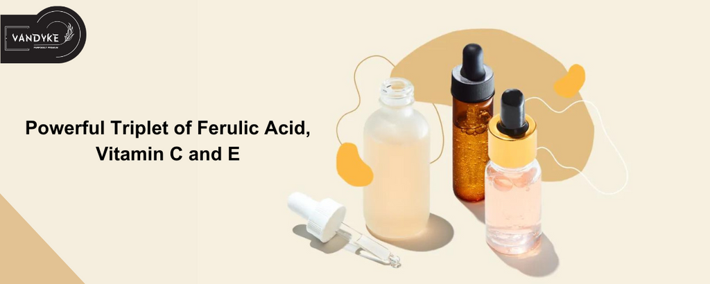 Powerful Triplet of Ferulic Acid, Vitamin C and E