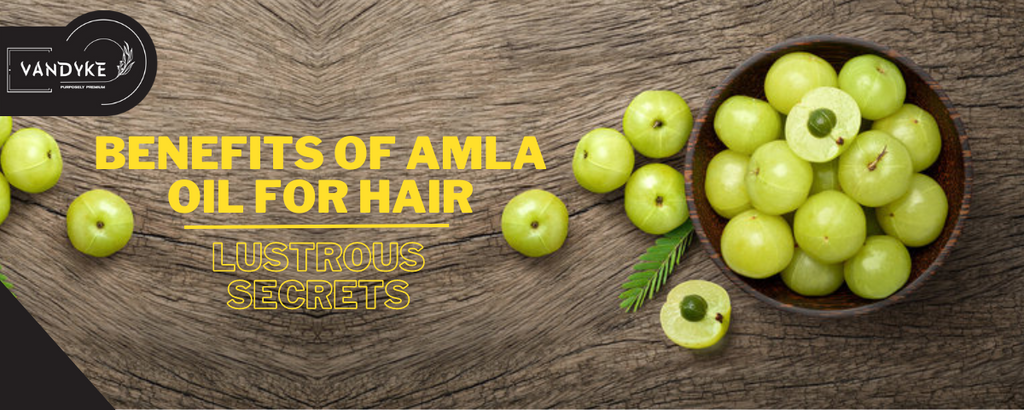 The Benefits of Amla Oil for Hair - Lustrous Secrets