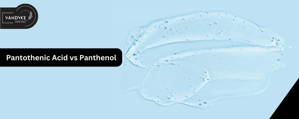 Pantothenic Acid vs Panthenol What's the Difference and Which One is Better