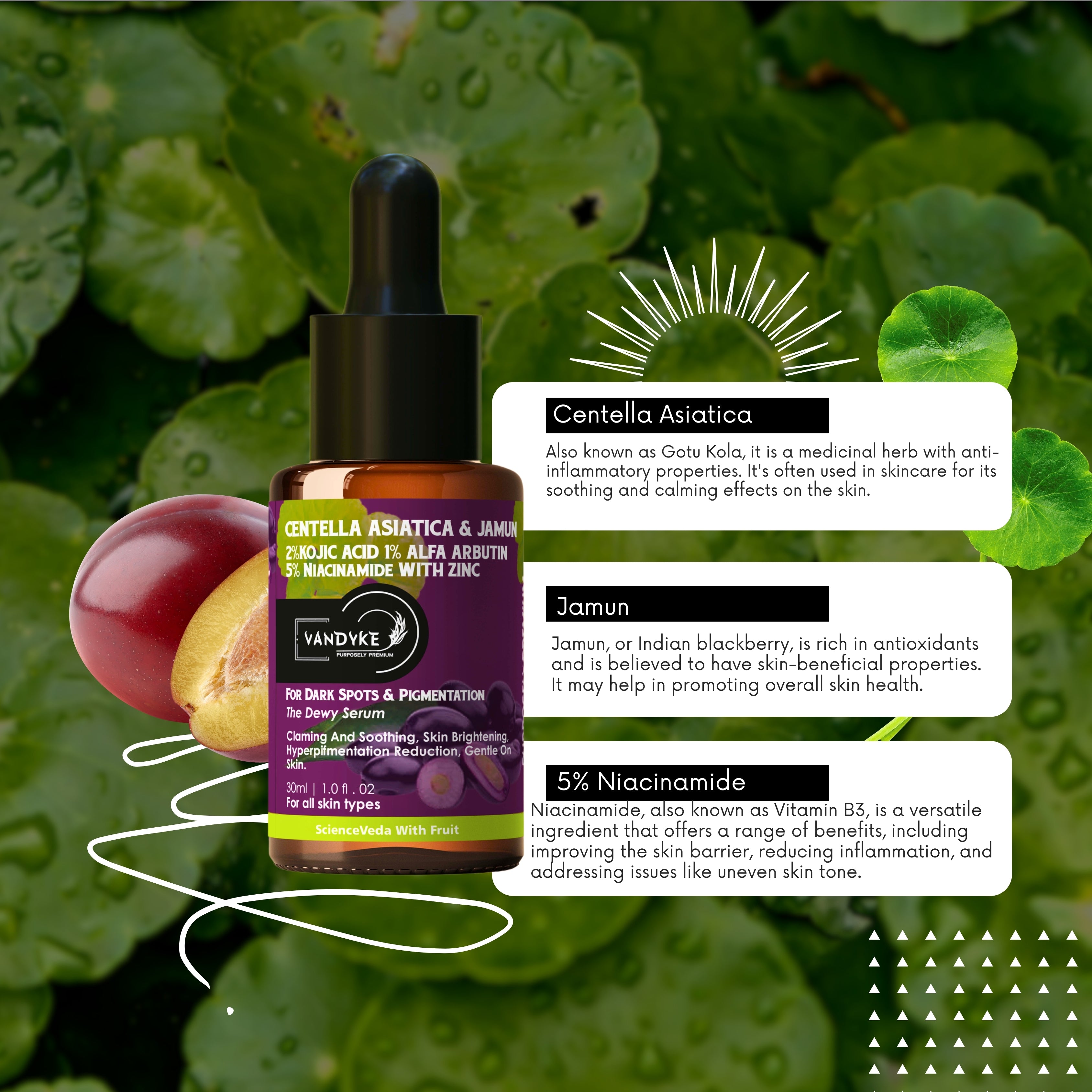 Vandyke Centella Asiatica & Jamun Face Serum (30ml)