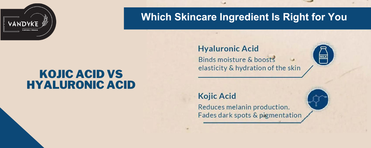 Kojic Acid vs Hyaluronic Acid - vandyke