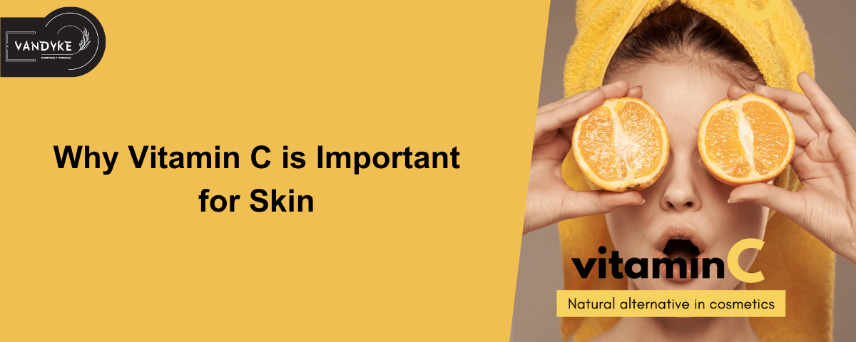 Why Vitamin C Is Important for Skin vandyke vitamin c 10% Serum