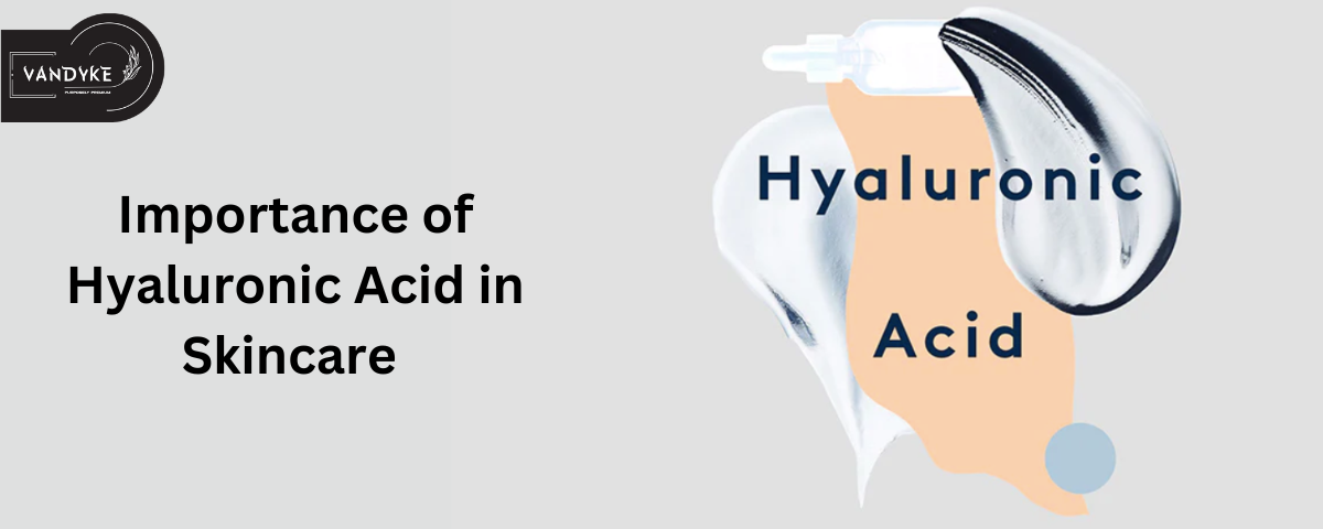 Importance of Hyaluronic Acid in Skincare - Vandyke