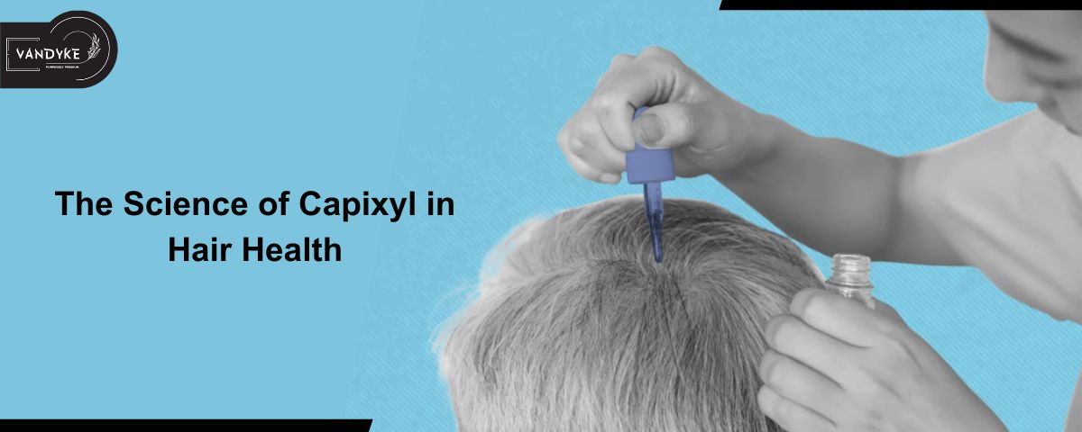 Science of Capixyl in Hair Health - Vandyke Hair Serum