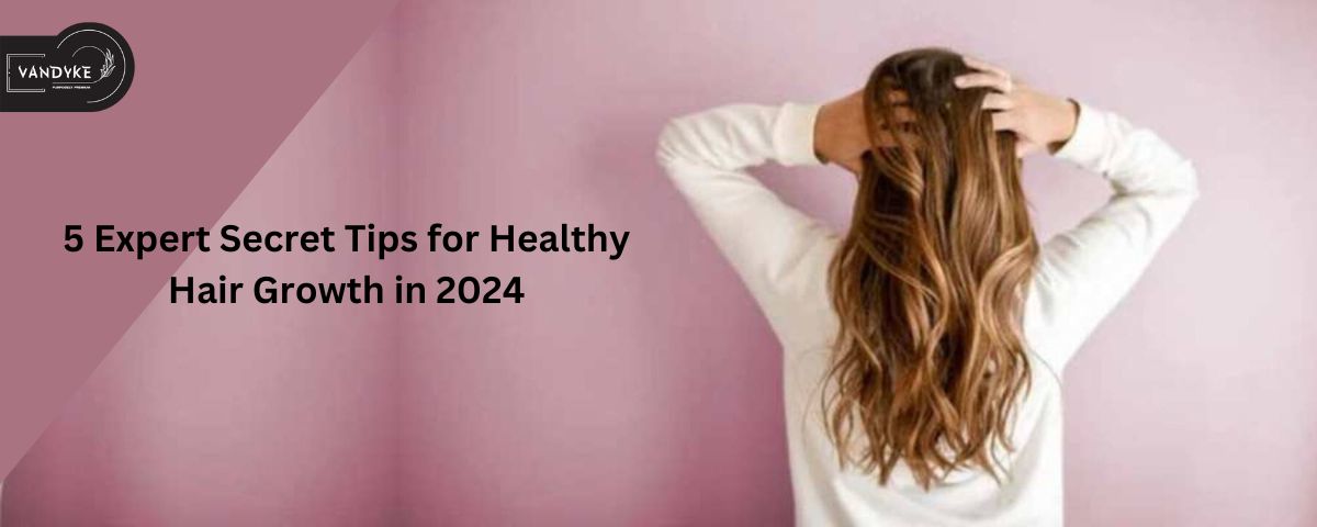 5 Expert Secret Tips for Healthy Hair Growth in 2024 - vandyke