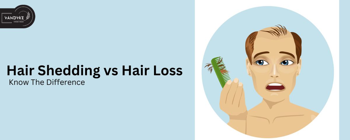 Hair Shedding vs Hair Loss - vandyke
