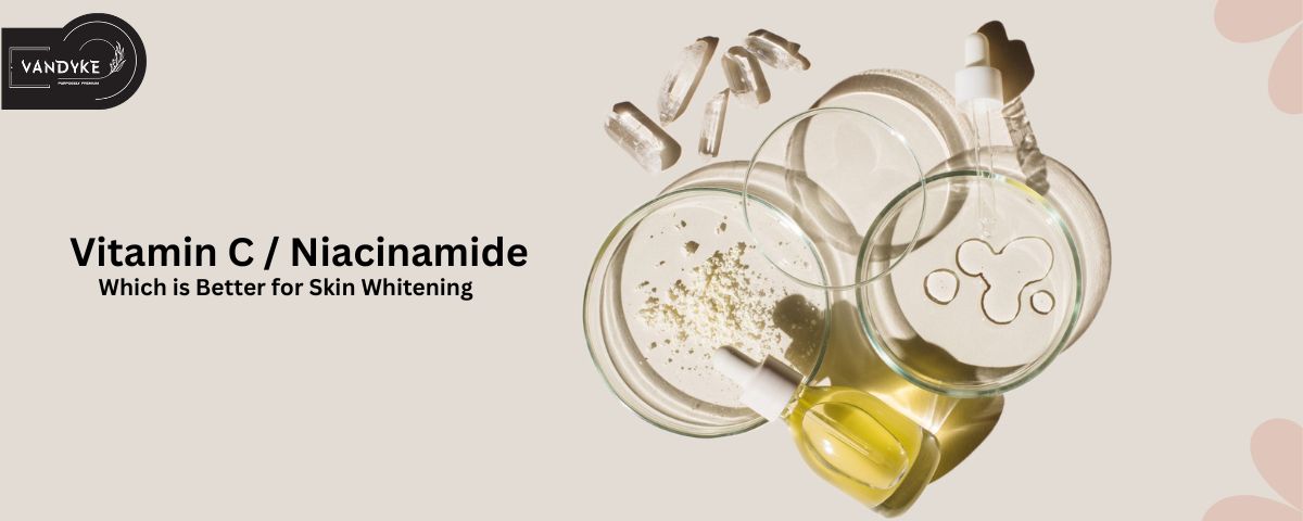 Vitamin C or Niacinamide Which is Better for Skin Whitening - vandyke